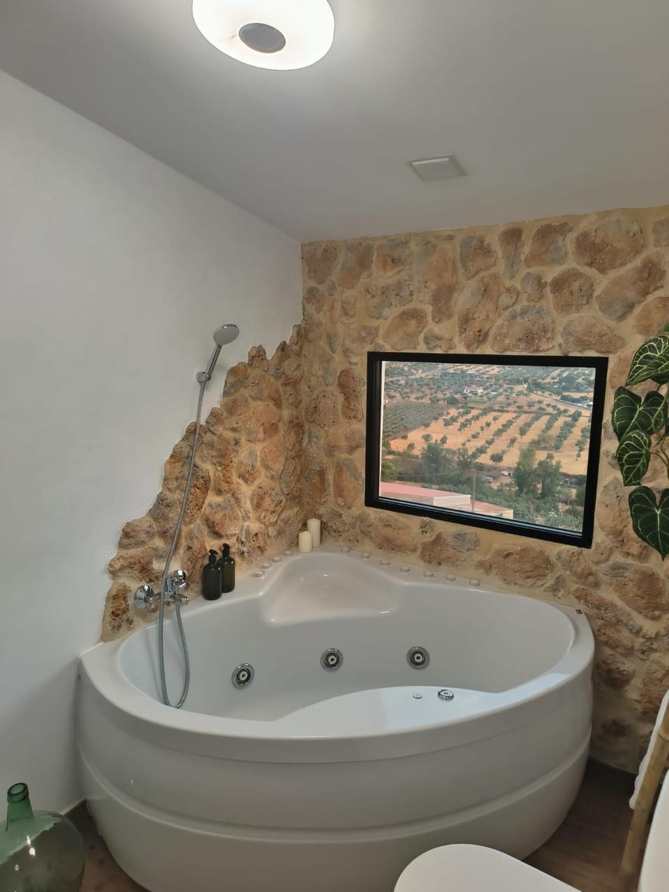 Hot Tub, Bathroom, Mountain view, Bath
