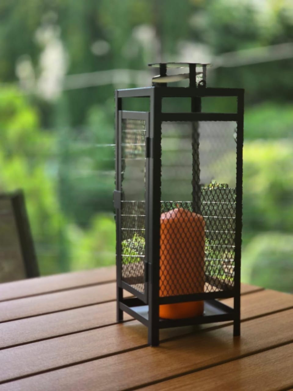 Patio, Day, Garden, Garden view