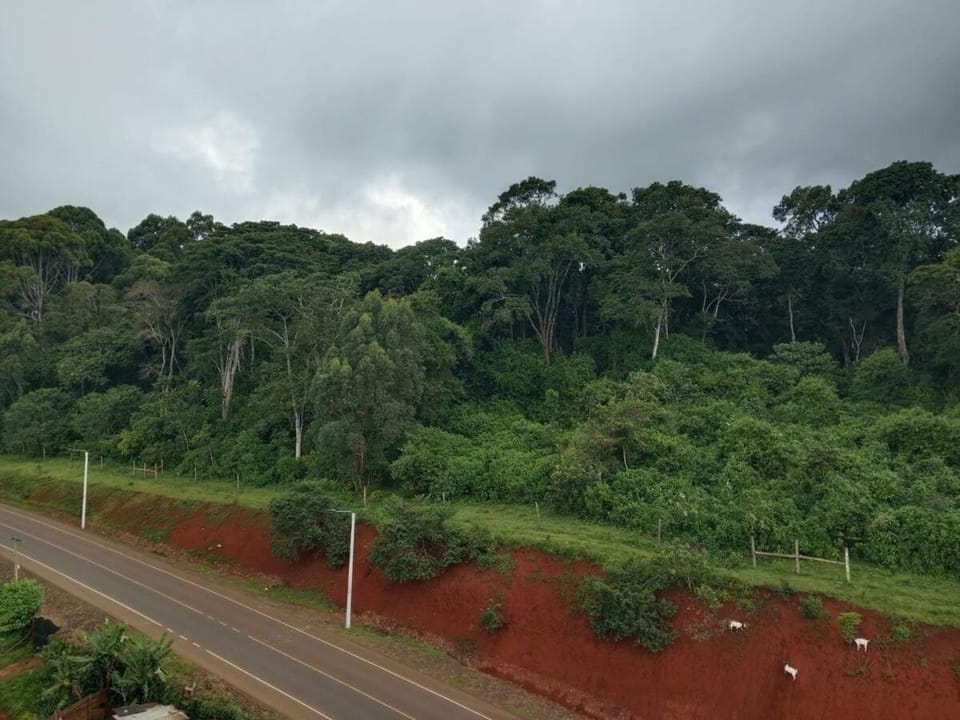 Neighbourhood, Natural landscape, View (from property/room)