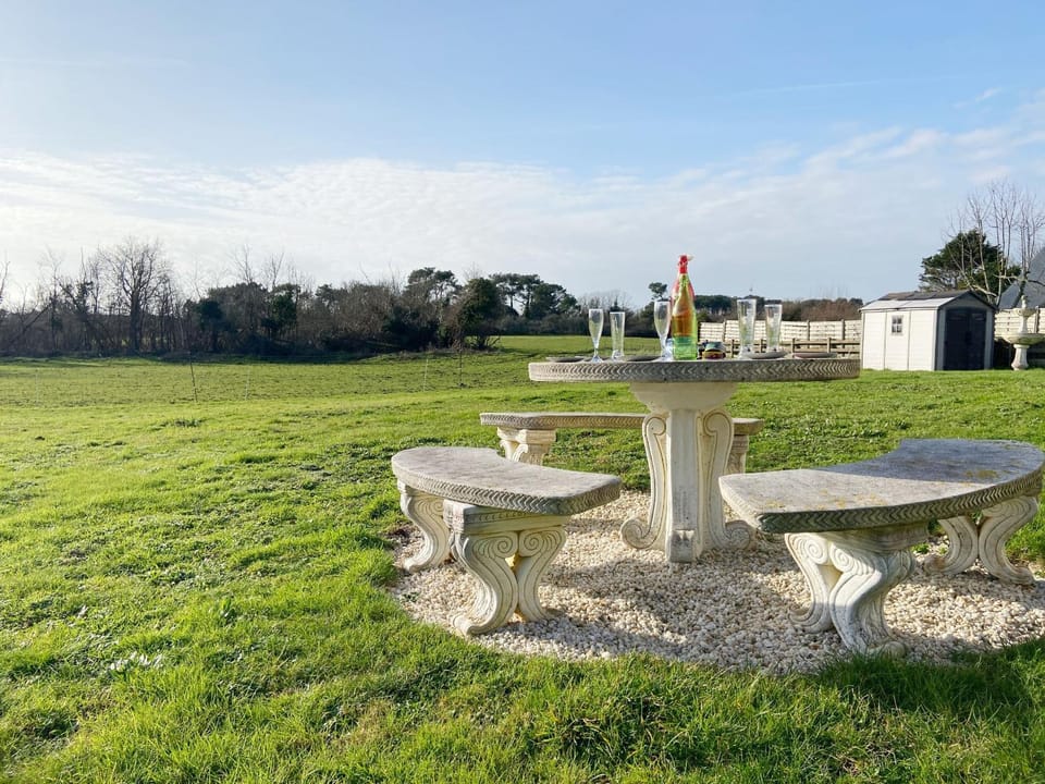 Patio, Garden, Garden view