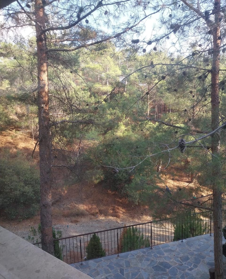 Natural landscape