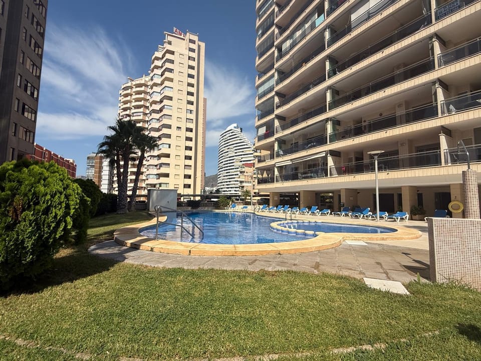 Garden, Swimming pool, sunbed