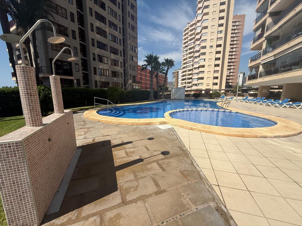 Garden, Swimming pool, sunbed