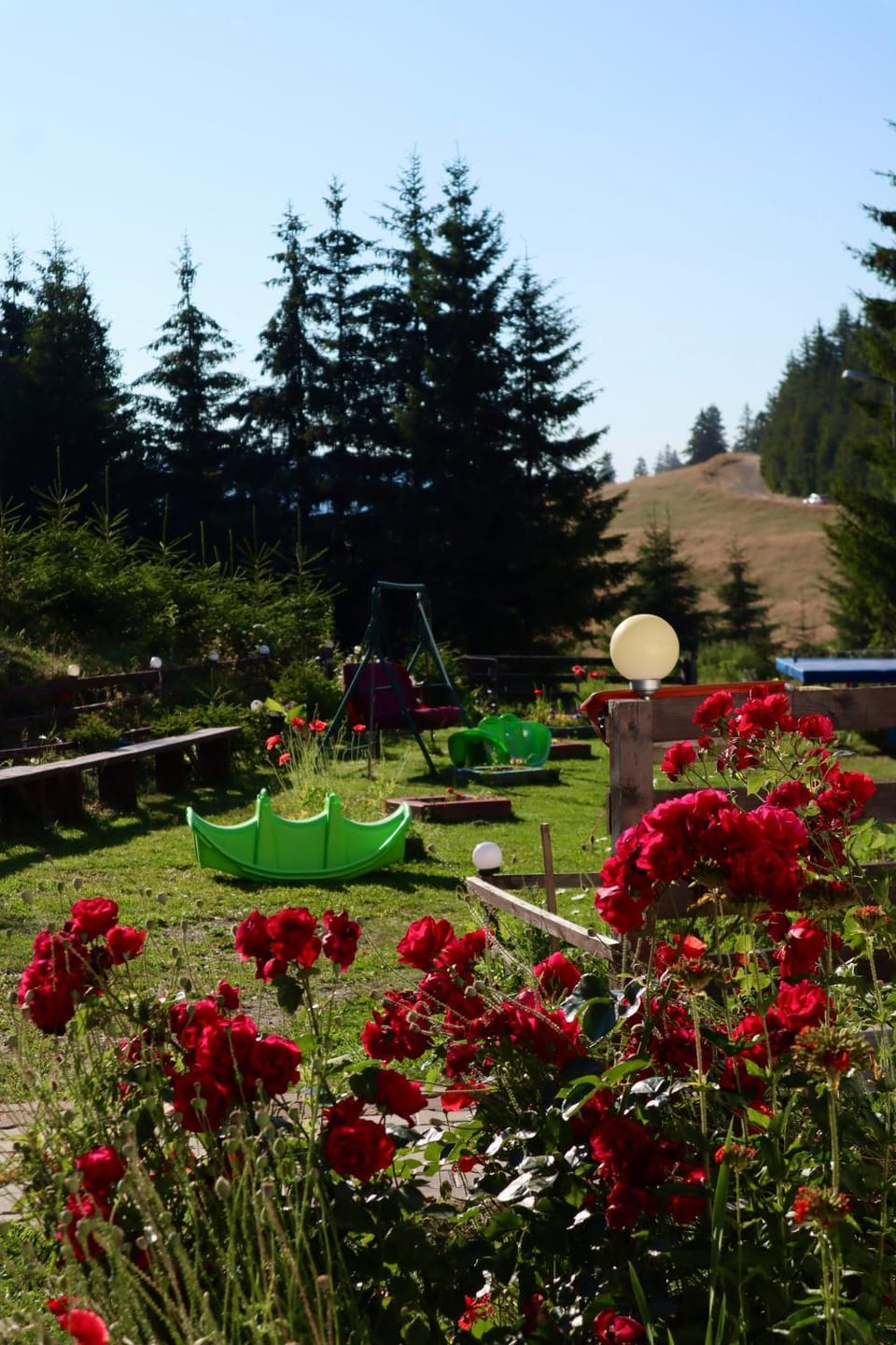 Irenne Bed and Breakfast in Romania