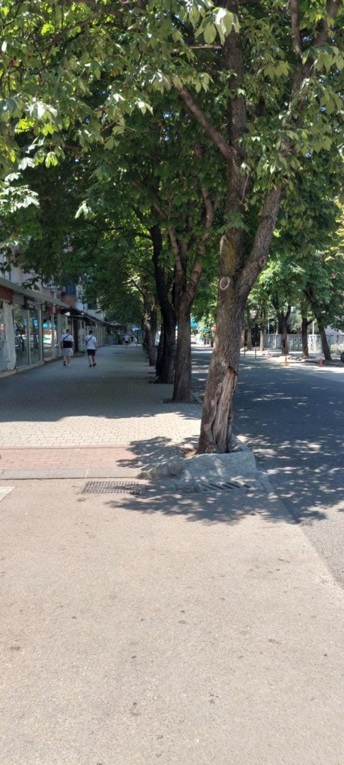 Central lovely top apartament Apartment in Tirana