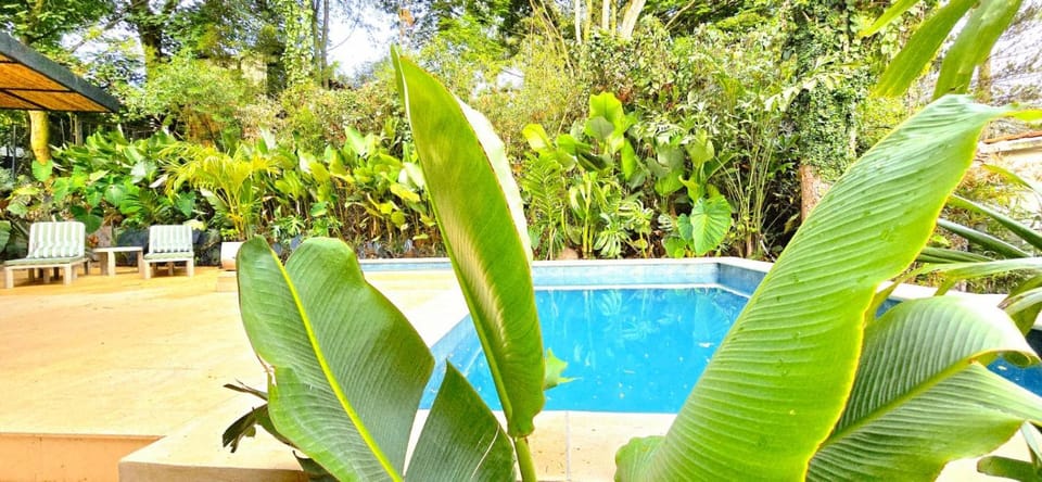Garden, Swimming pool, Swimming pool