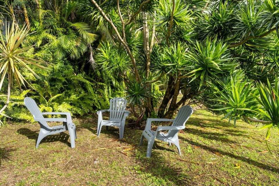 Natural landscape, Garden, Garden view