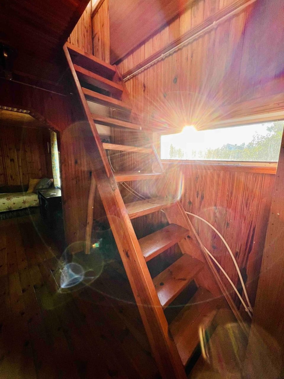 Beloved Family Nest House in Vilnius