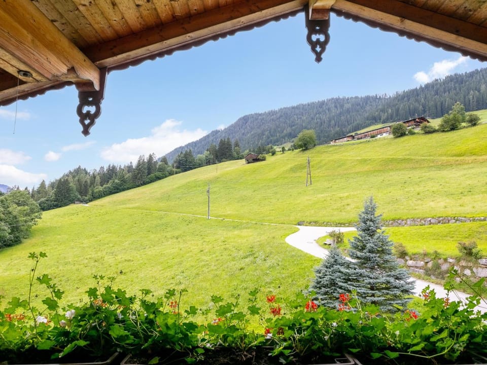 Summer, View (from property/room)