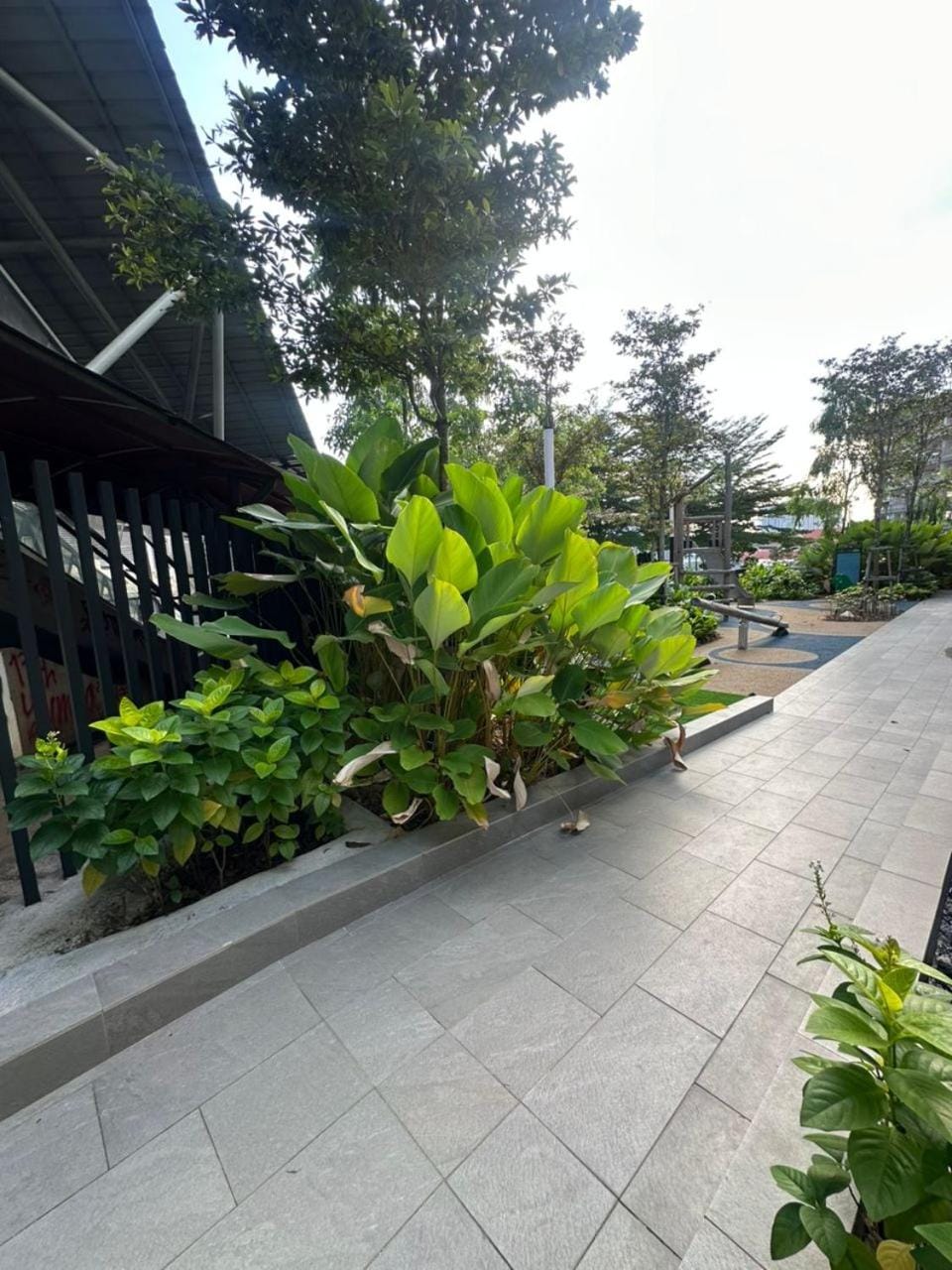 Garden view