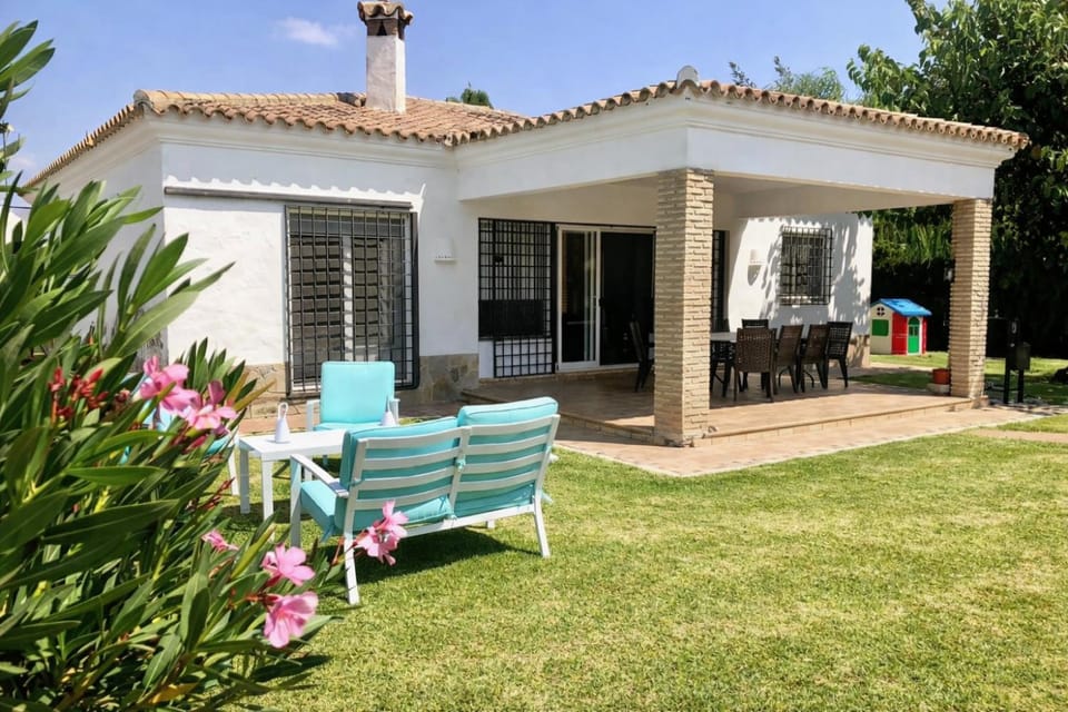 Patio, Spring, Day, Garden, Garden view
