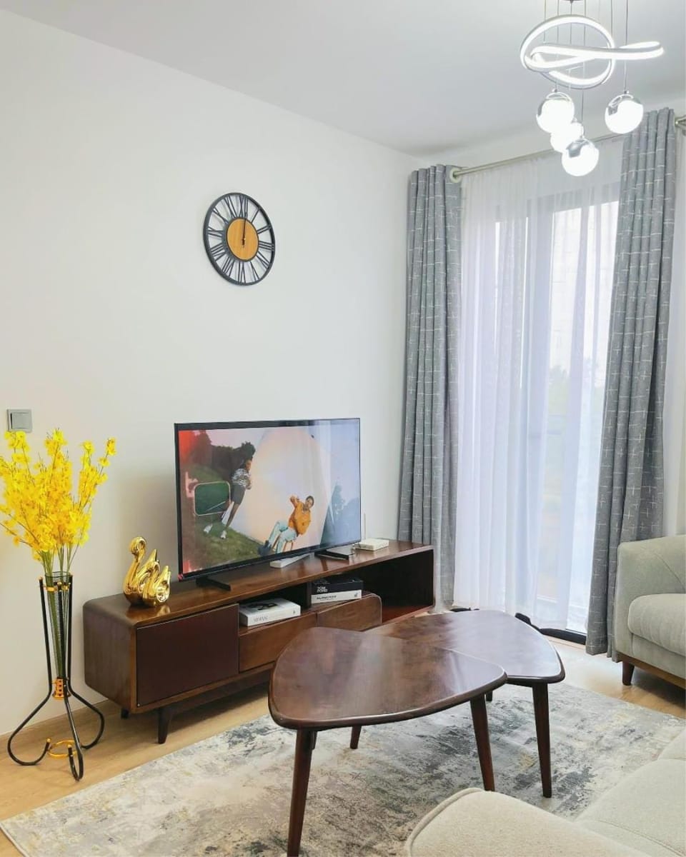 TV and multimedia