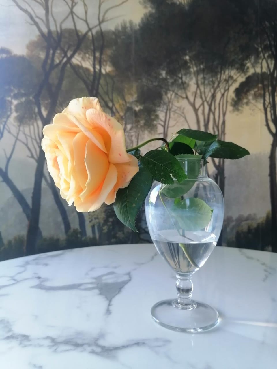Bastide YSATIS Bed and Breakfast in Occitanie