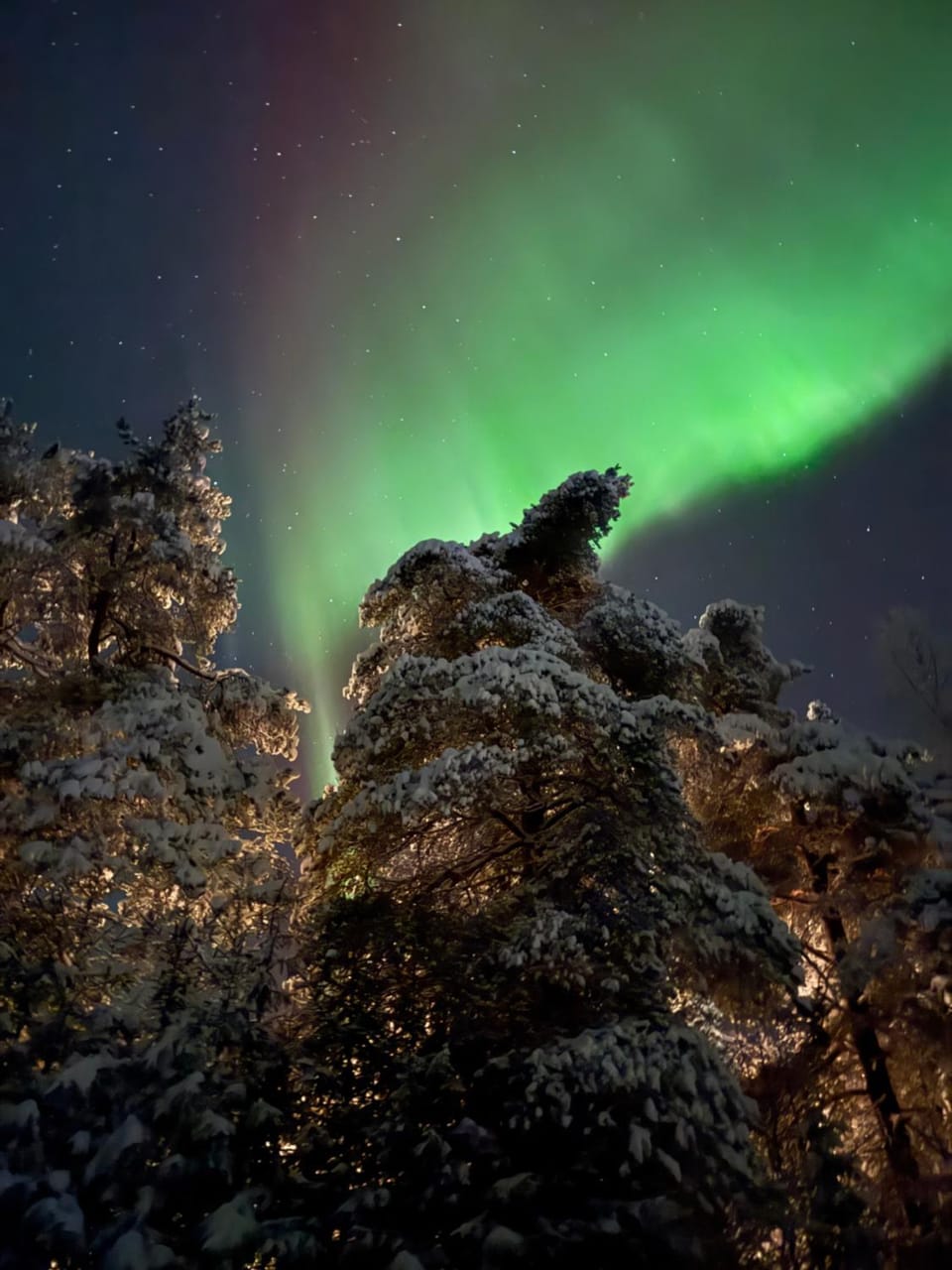 Natural landscape, Winter