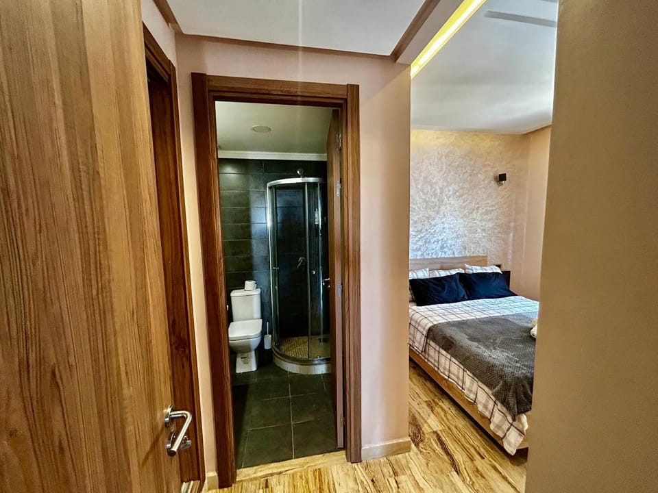 Shower, Toilet, Photo of the whole room, Bedroom