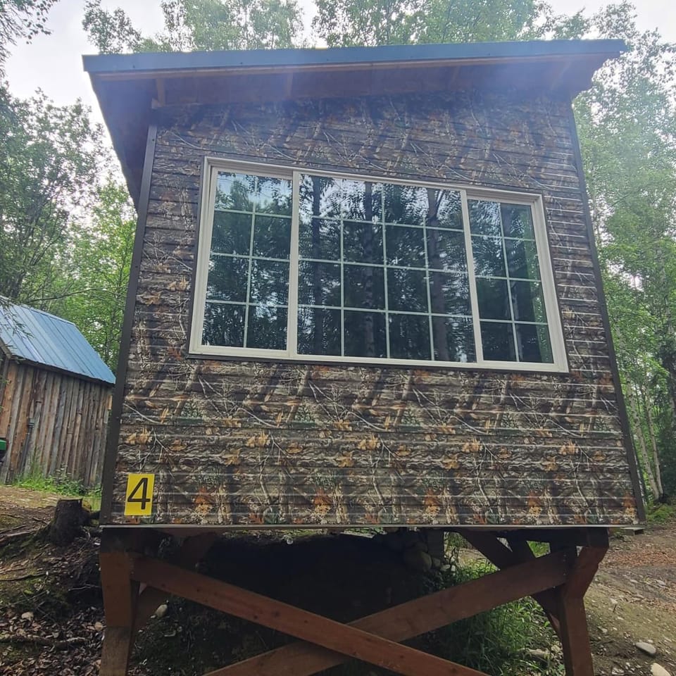 Camo Cabin #4 Cabin in Big Lake