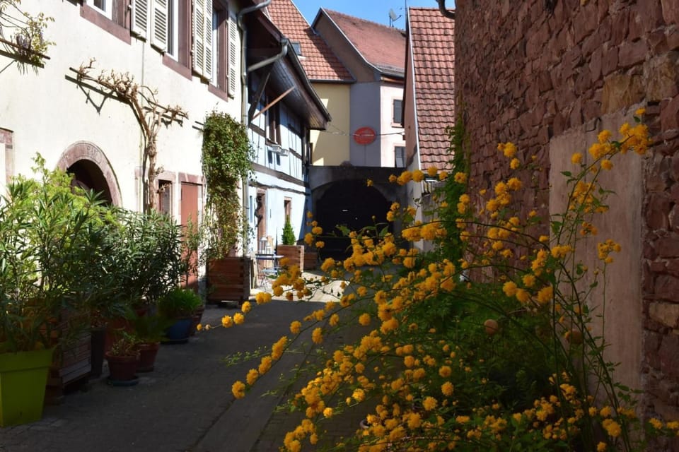 Property building, Spring, Day