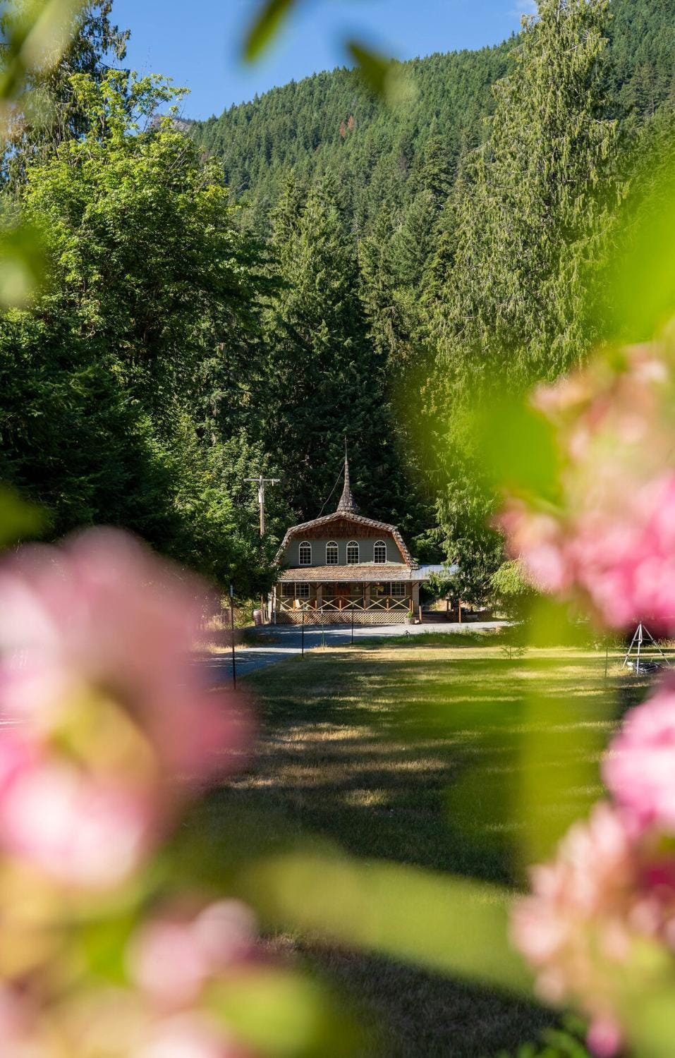 Hot Tub, Sauna, Cold Plunge - 1 mile from Rainier NP - Sleeps 8 House in Washington
