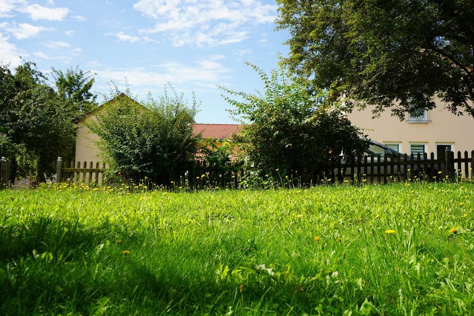 Garden, Garden view