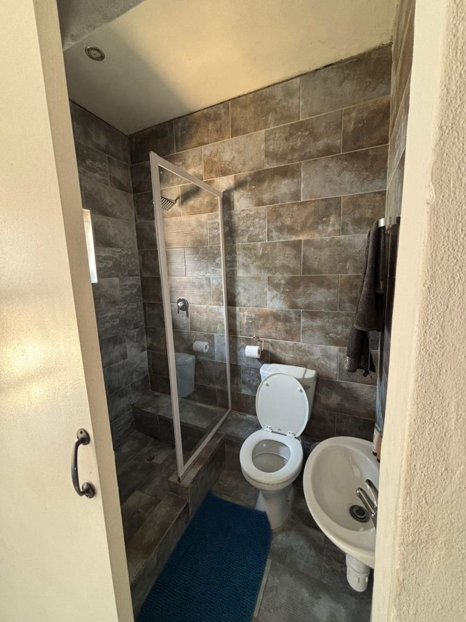 Shower, Toilet, Bathroom, bidet