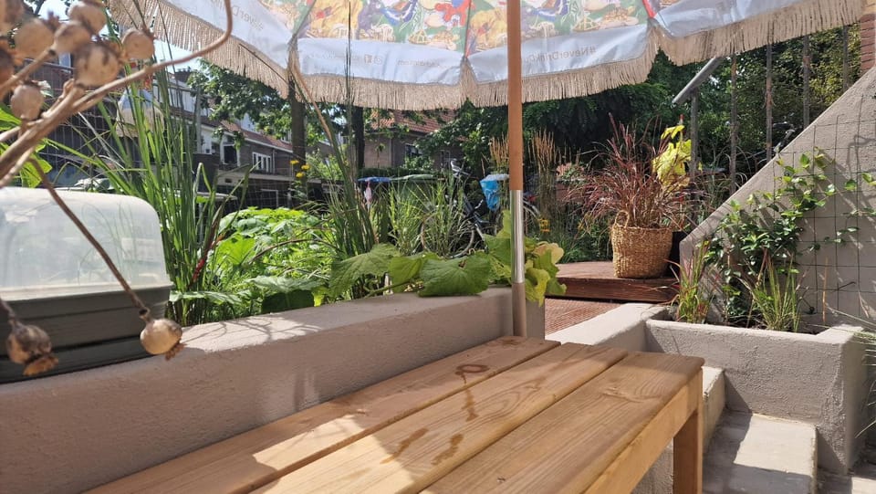 Garden view