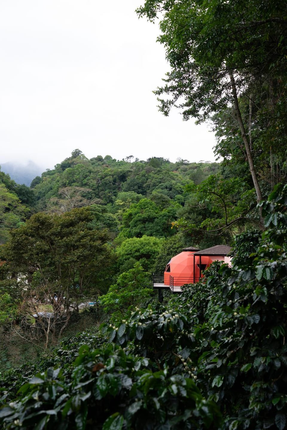 Natural landscape, Mountain view