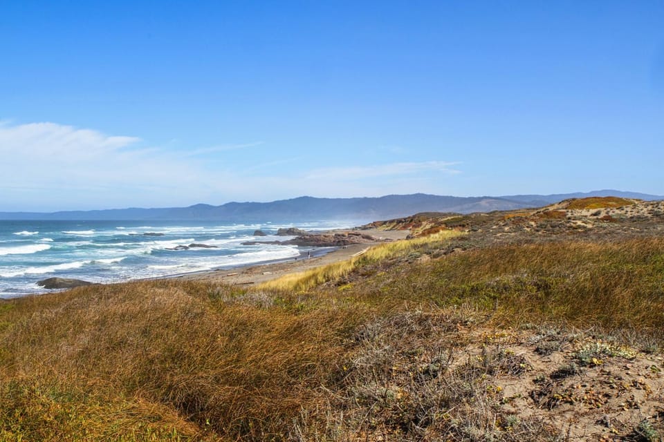 Oceanfront Studio-Beachfront Bliss & Pet-Friendly House in Mendocino County