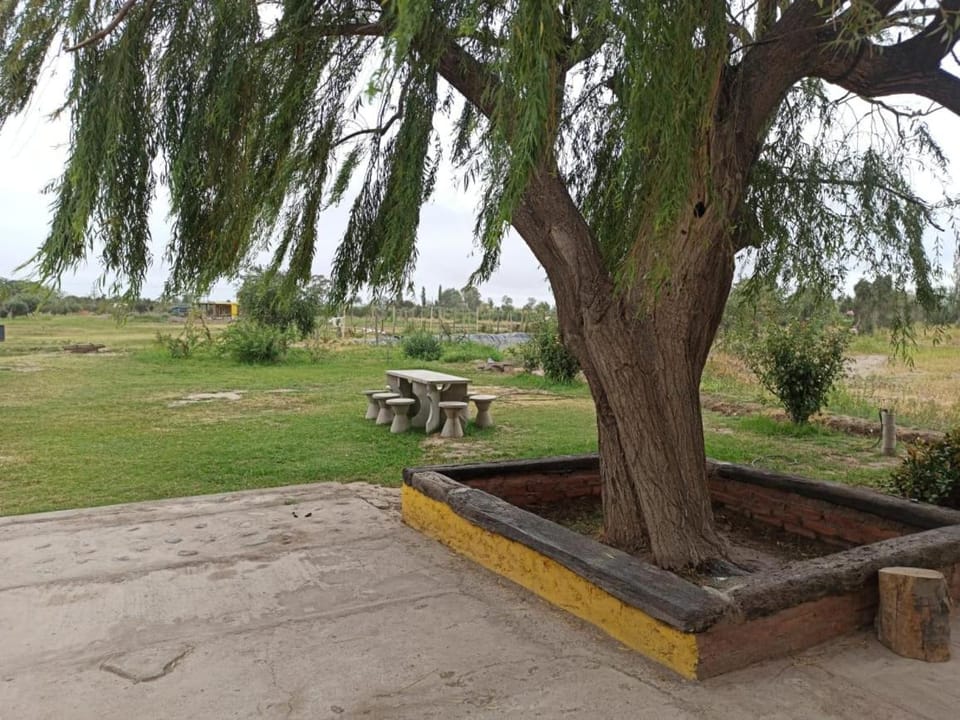 Alala Campo Casa Quinta Apartment in San Juan Province, Argentina