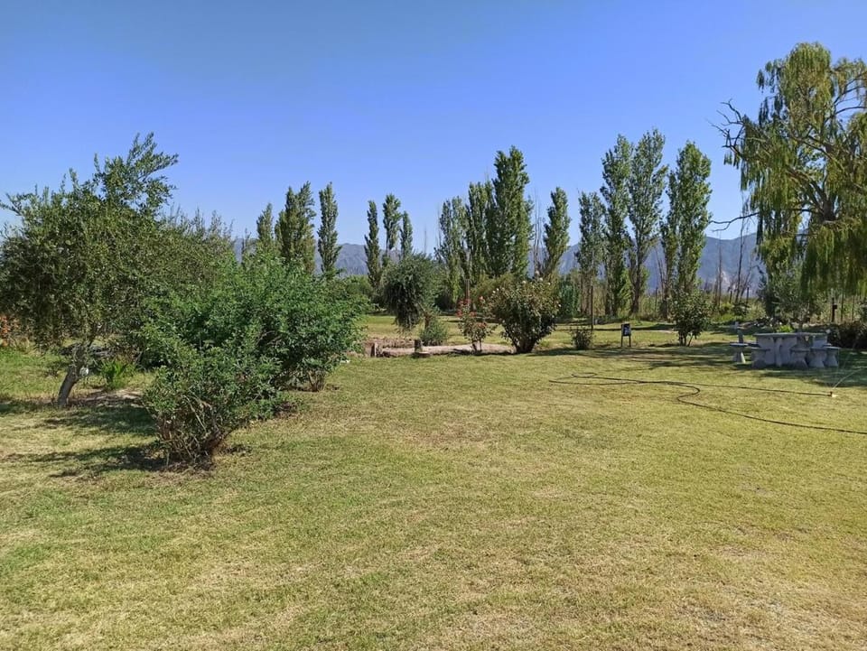 Alala Campo Casa Quinta Apartment in San Juan Province, Argentina