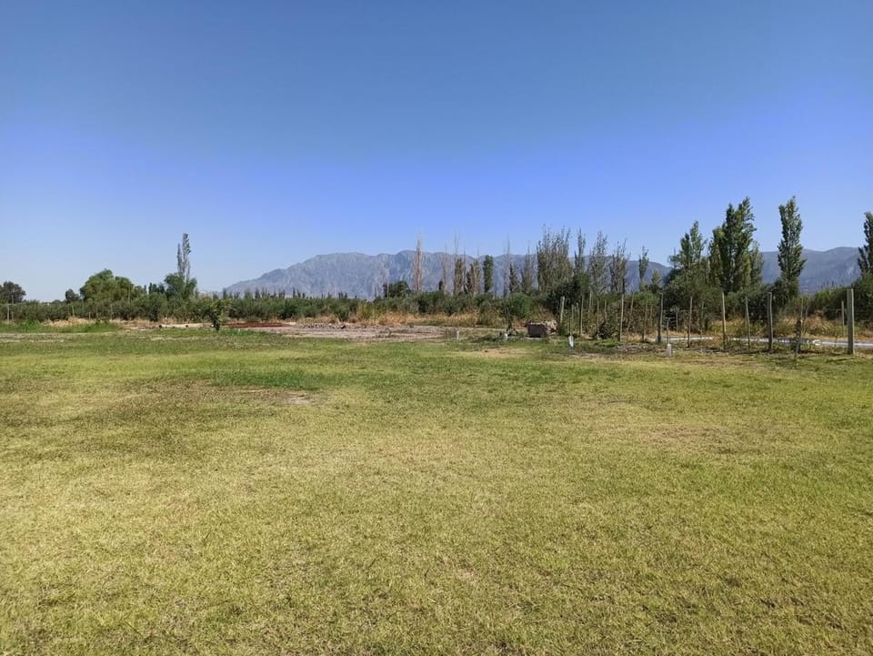 Alala Campo Casa Quinta Apartment in San Juan Province, Argentina