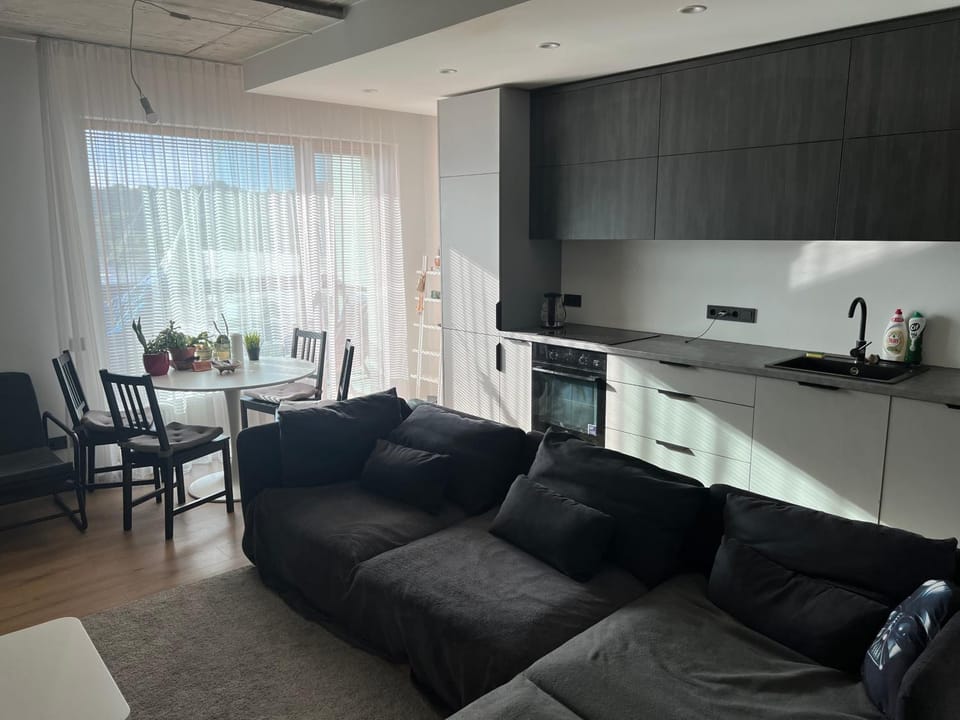 My home Vilnius Apartment in Vilnius