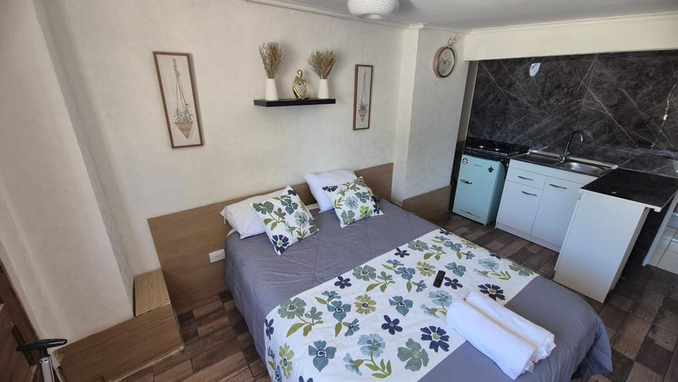 hostal andes Bed and Breakfast in Providencia