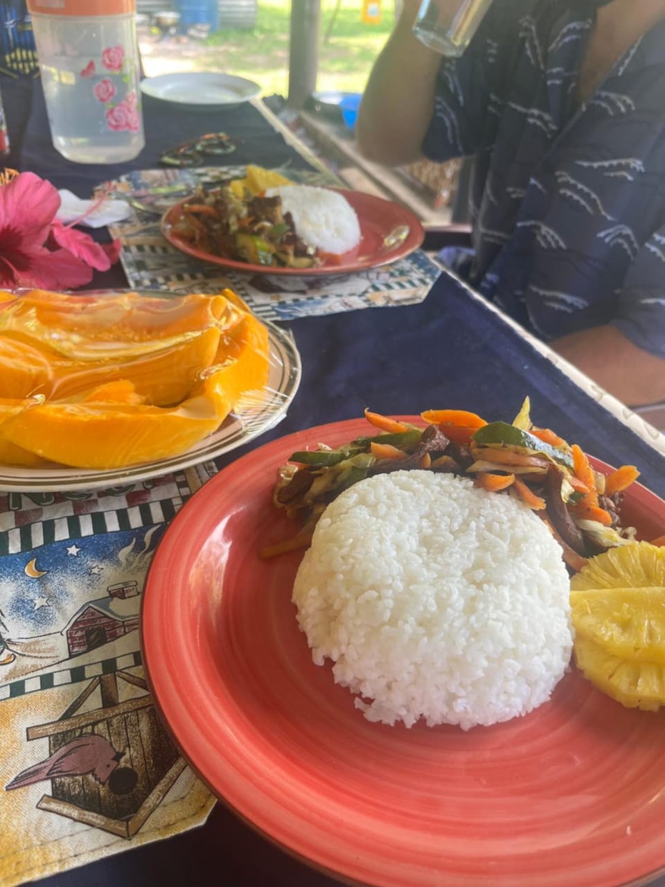 Tai Bee Homestay Vacation rental in Western Division, Fiji