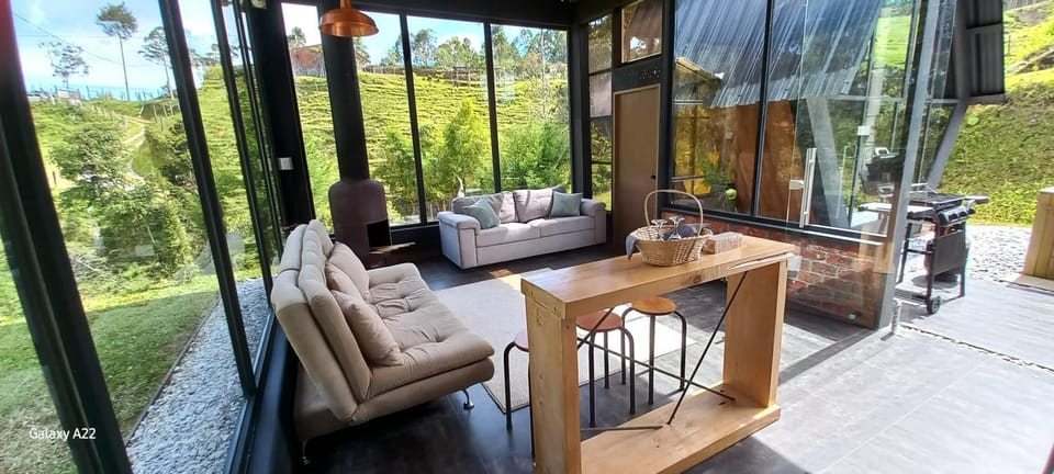 Garden, View (from property/room), Living room
