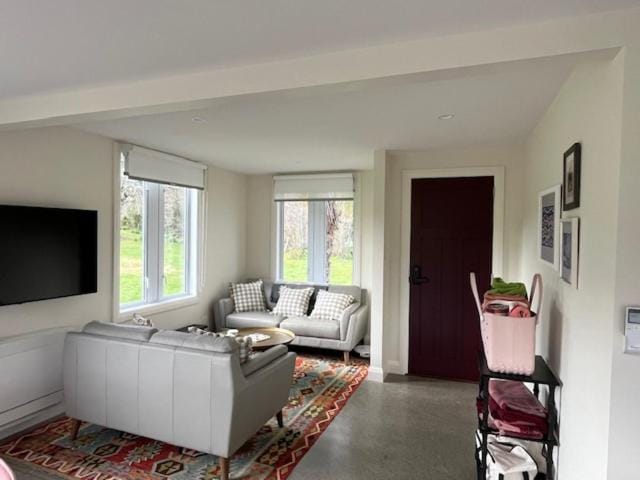Rose Cottage House in Hawke's Bay