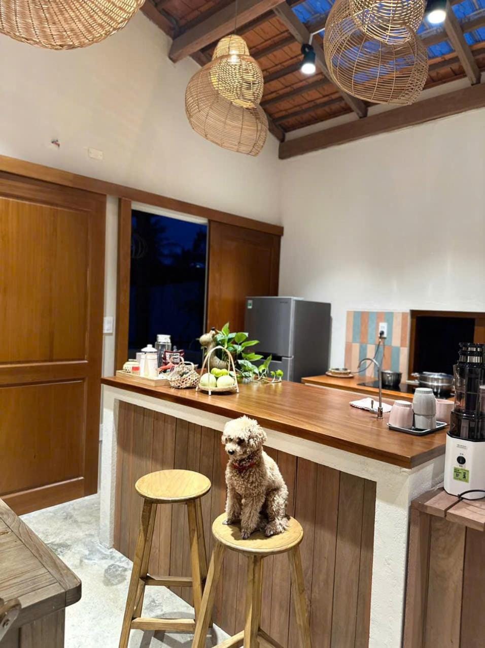 Tổ Ong Kiến Bình Định Apartment in Vietnam