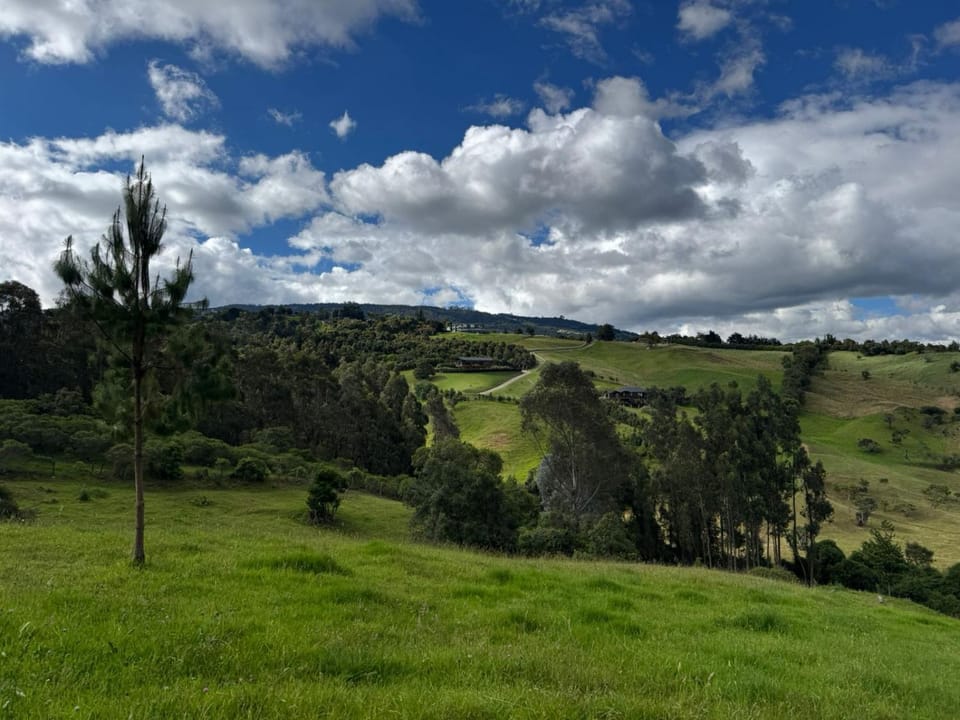 Mountain view