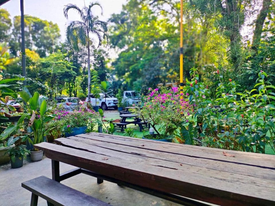 Restaurant/places to eat, Garden