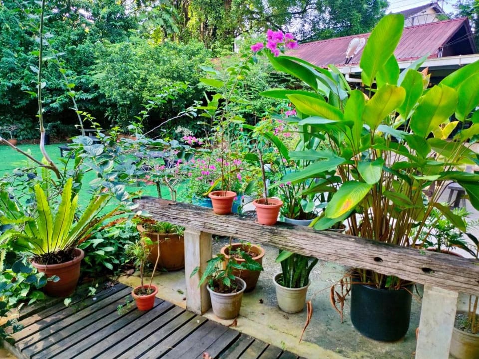 Restaurant/places to eat, Garden
