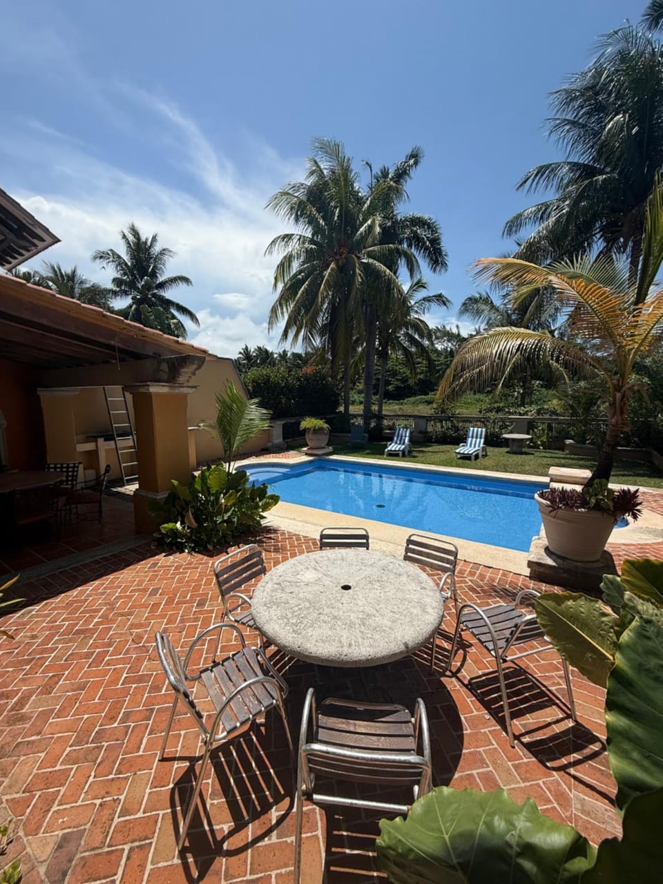 Garden view, Swimming pool