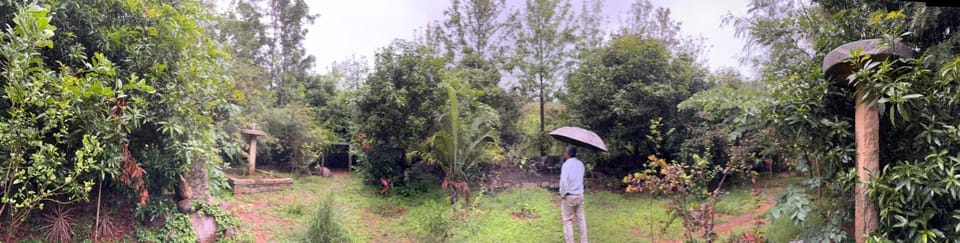 Garden, Garden view