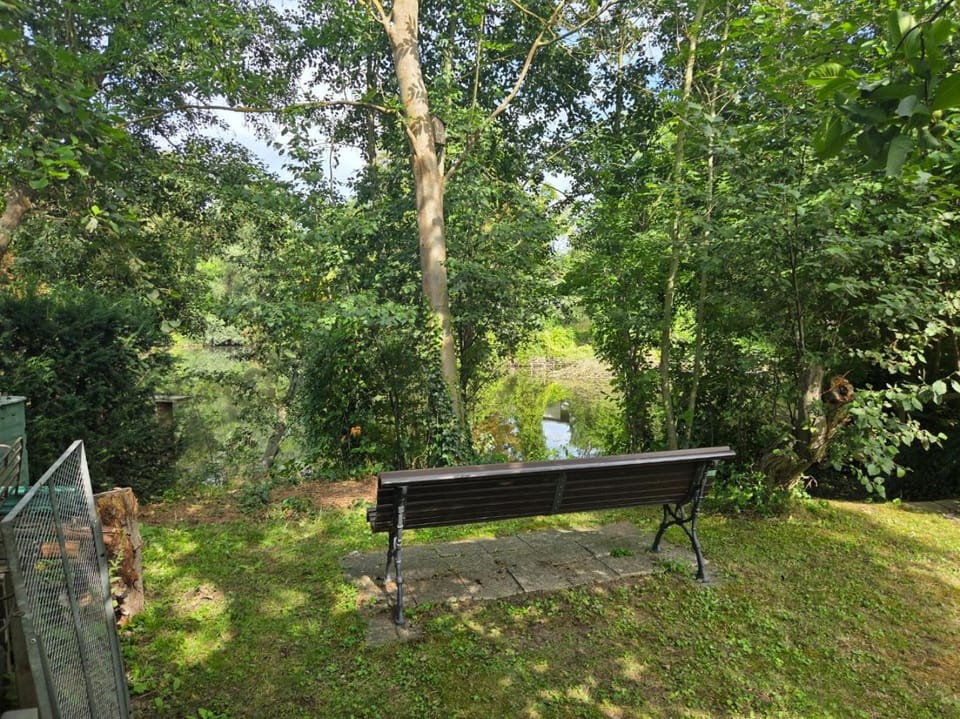Natural landscape, Garden, Garden view