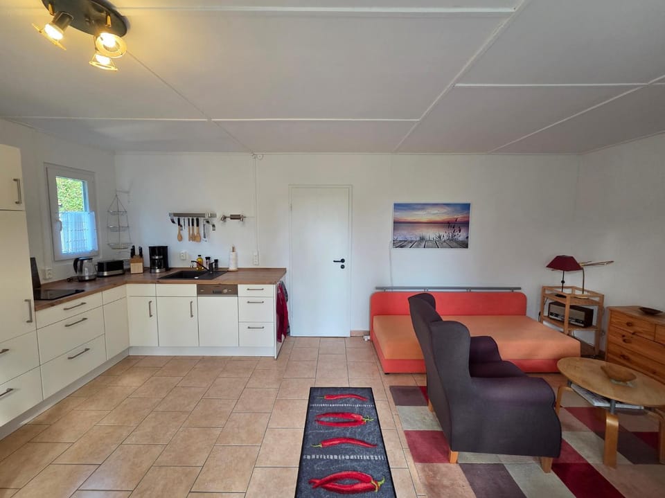Kitchen or kitchenette, Living room, stove