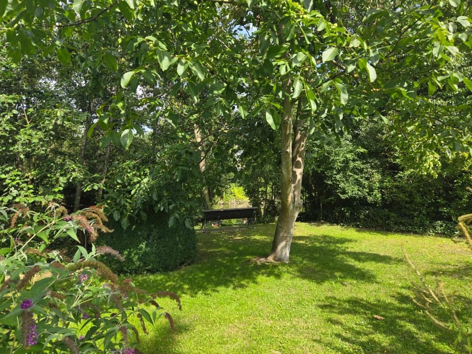 Natural landscape, Garden, Garden view