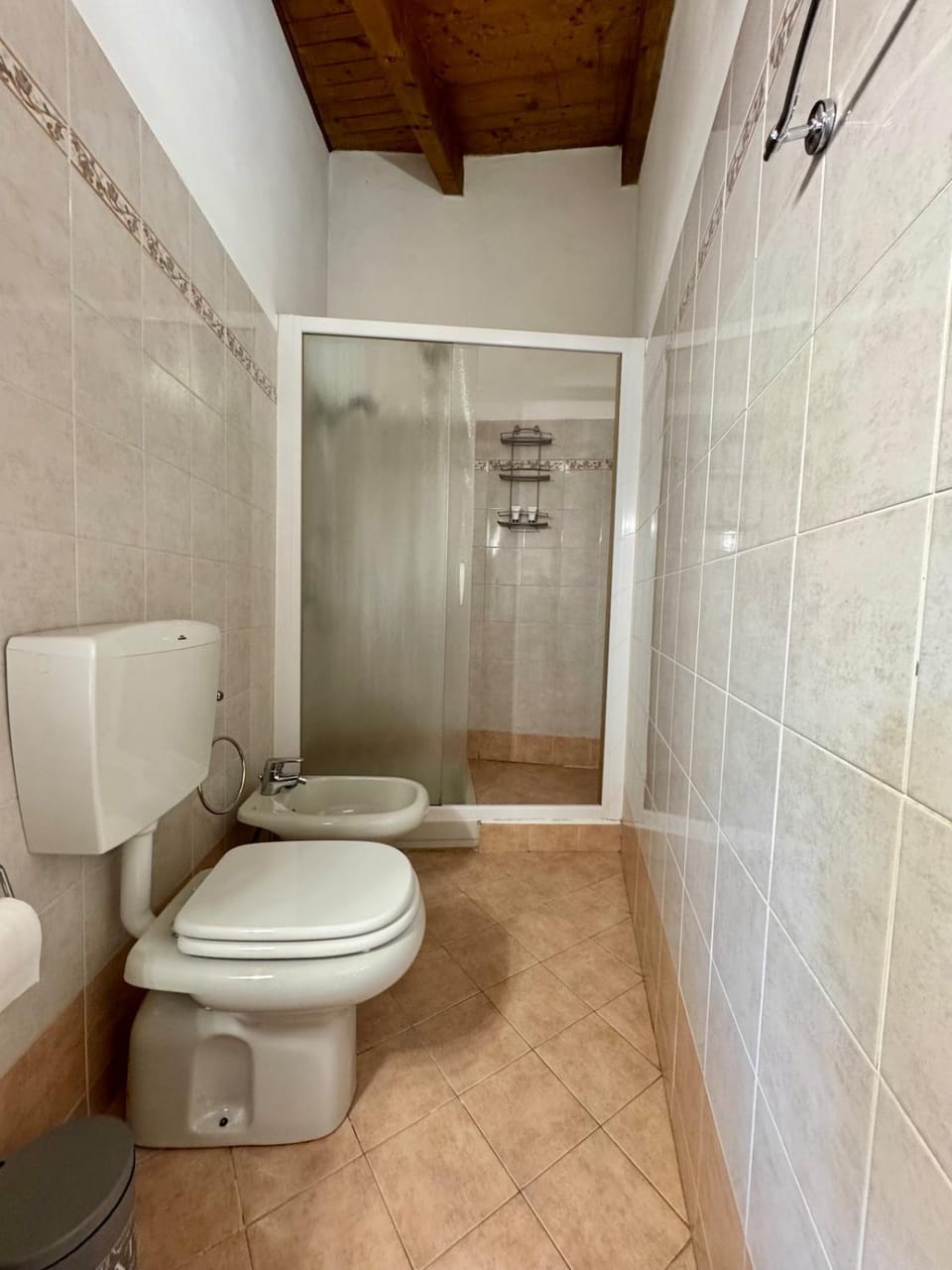 Shower, Toilet, bidet