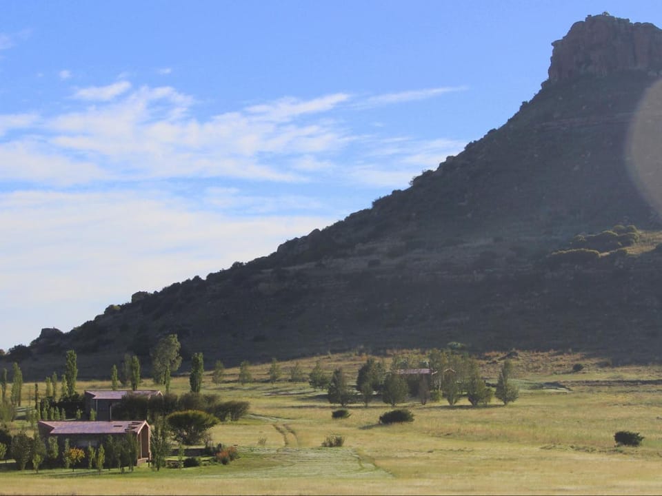 Natural landscape, Garden, Mountain view