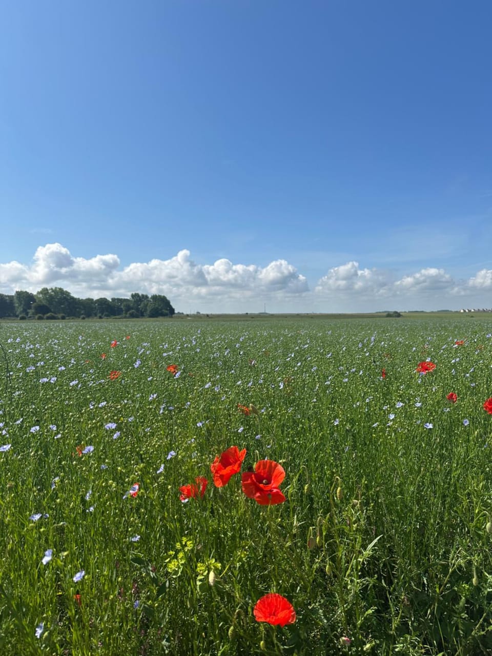 Natural landscape