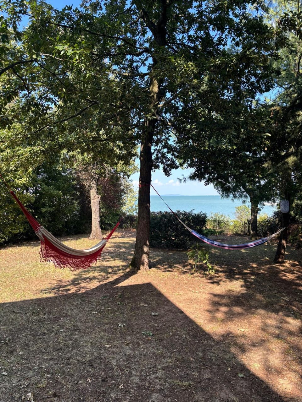 Lake view