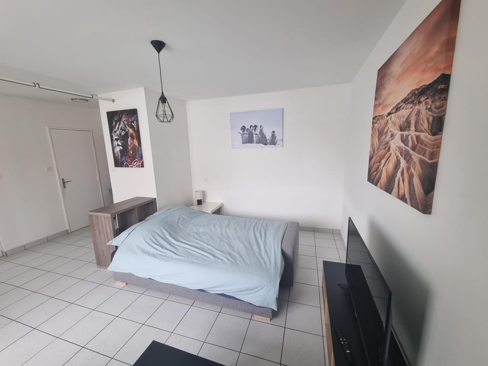 Studio Lumineux Bellevue 11 Apartment in Saint-Étienne