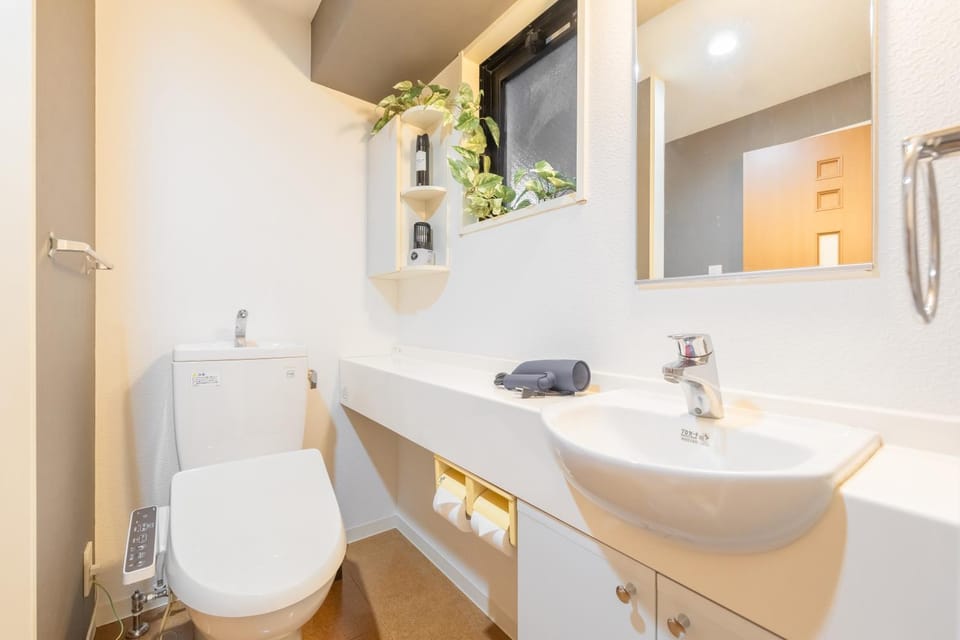 Toilet, Photo of the whole room